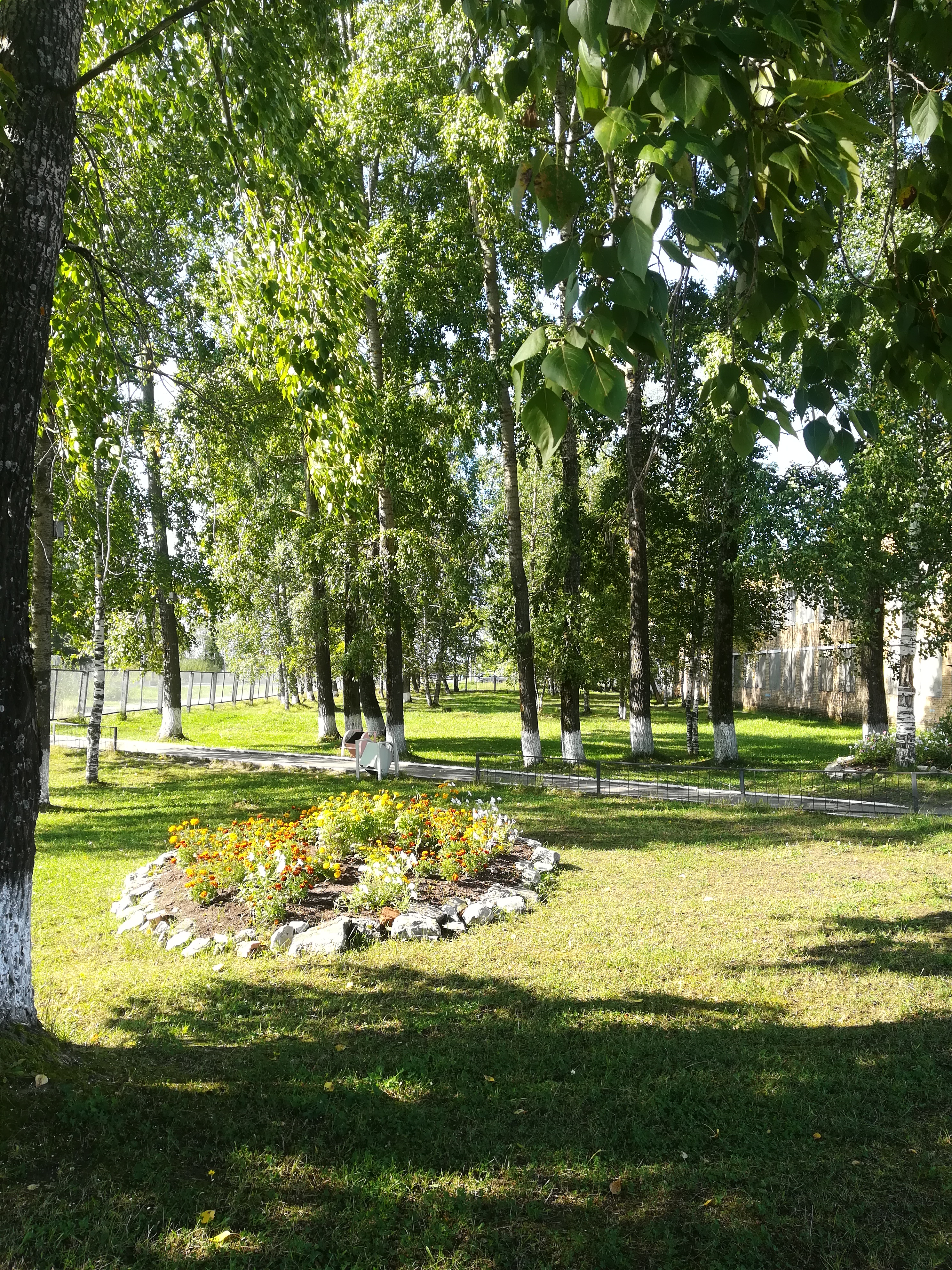 территория школы территория школы